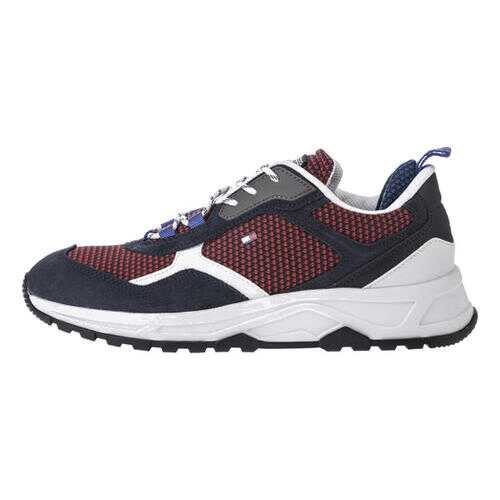 Кроссовки мужские Tommy Hilfiger FM0FM02582 красные/синие 40 US в Vans